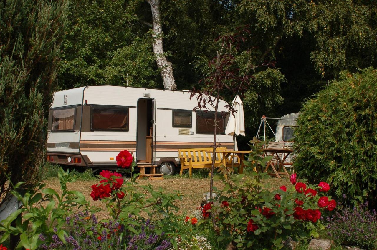 Camping Rogowo Mrzezyno Bagian luar foto
