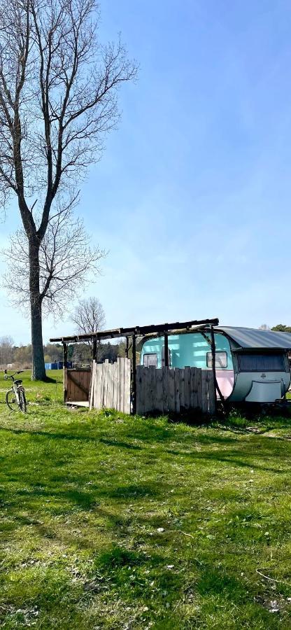 Camping Rogowo Mrzezyno Bagian luar foto