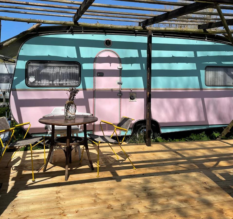 Camping Rogowo Mrzezyno Bagian luar foto